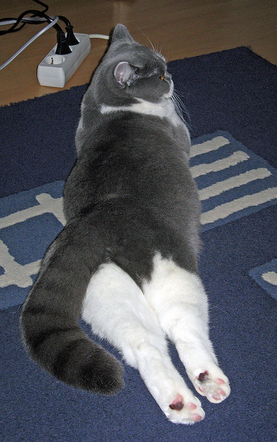 全面提升青少年裁判“实战+培训”体系，行业公平公正日益巩固，青少年足球裁判员培训